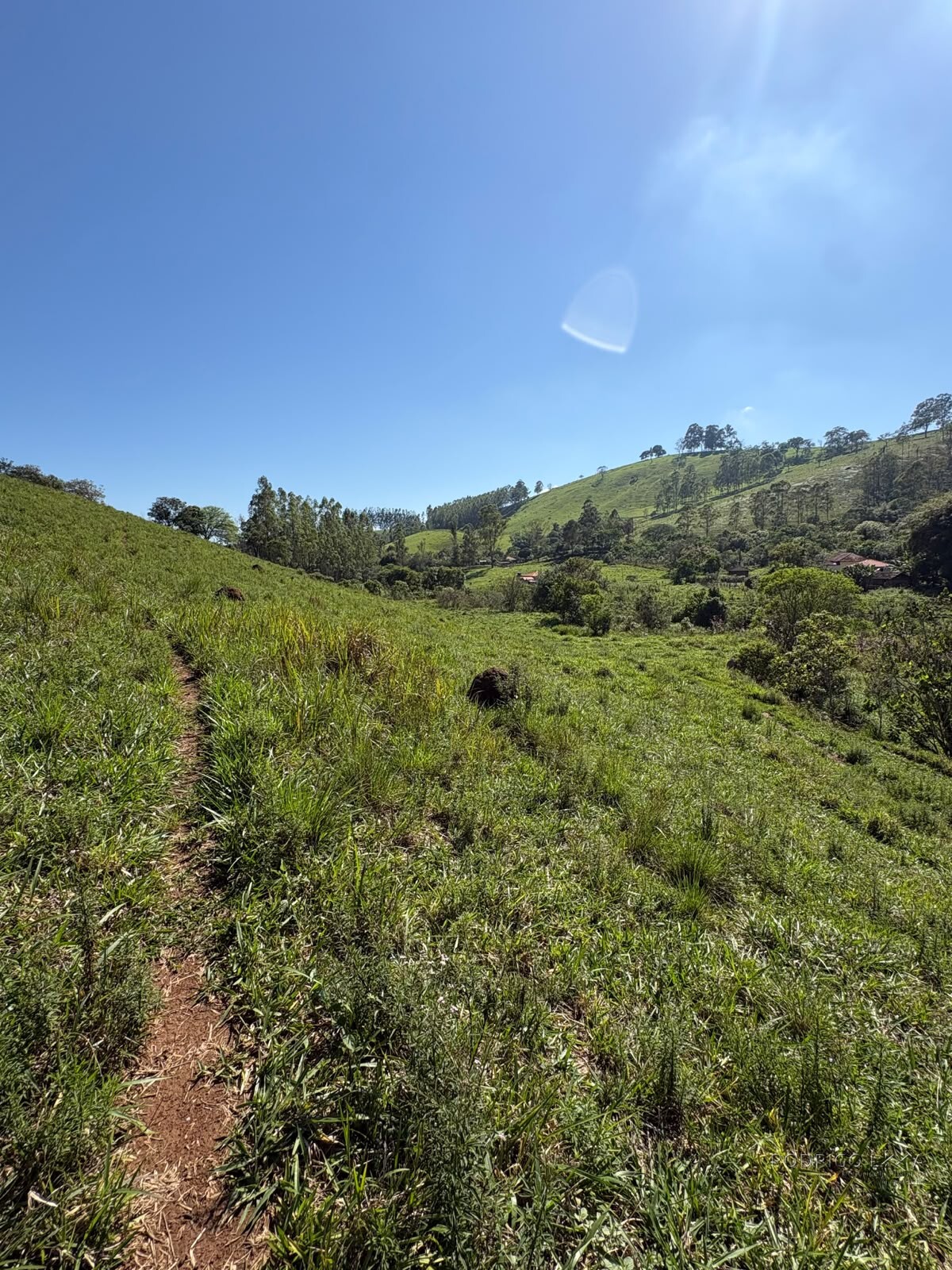 Terreno rural para venda em Dom Viçoso MG