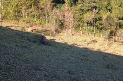Propriedade rural para venda em Virgínia/MG