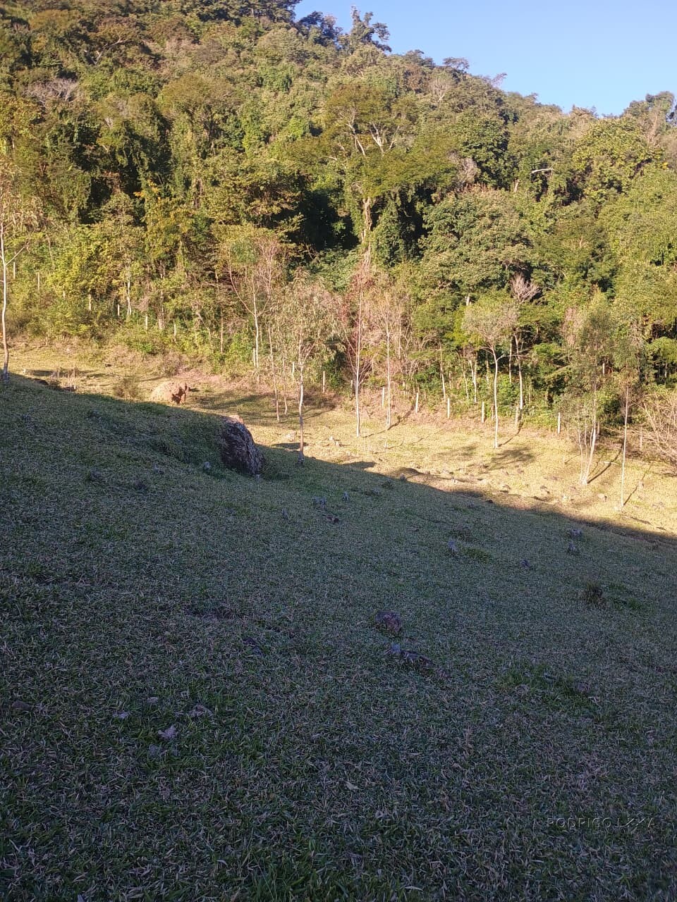 Propriedade rural para venda em Virgínia/MG