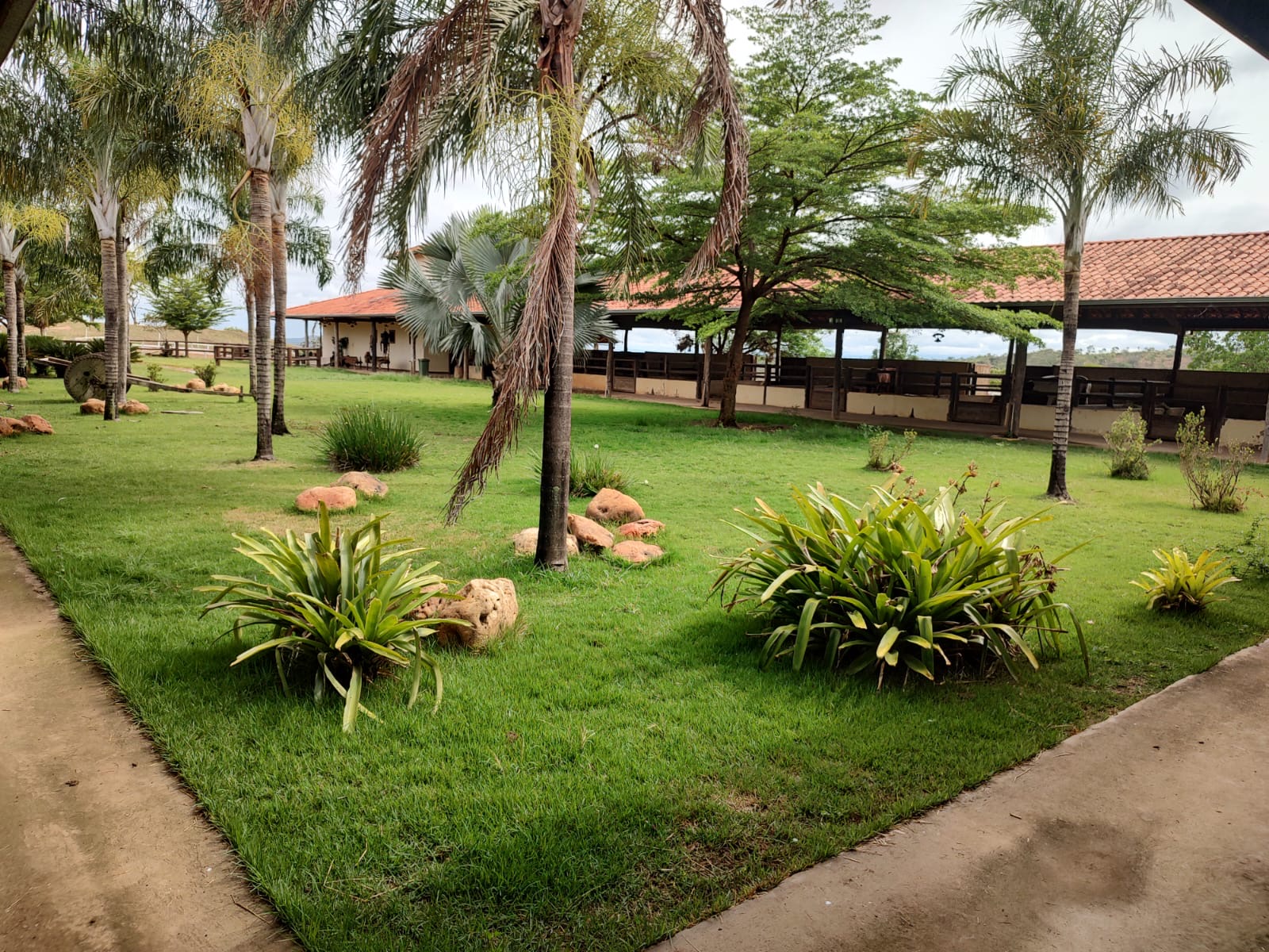 Fazenda para venda em Curvelo Mg