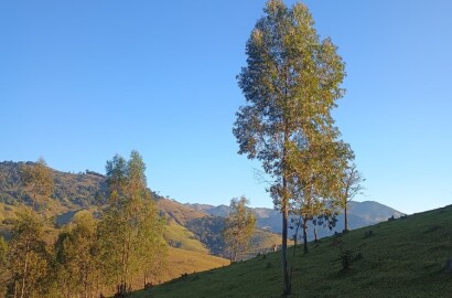 Propriedade rural para venda em Virgínia/MG