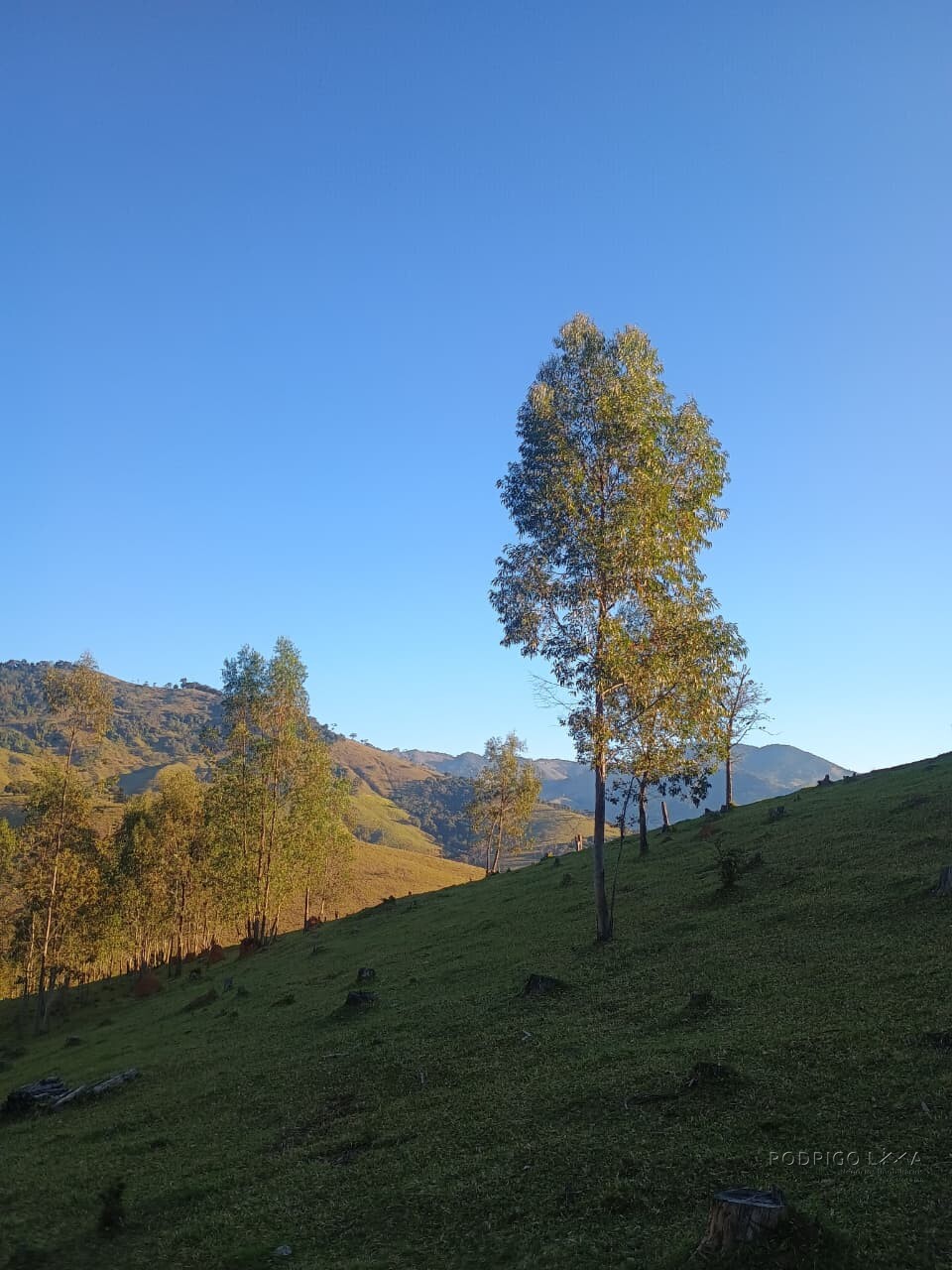 Propriedade rural para venda em Virgínia/MG