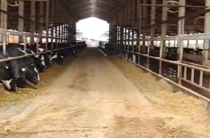 Fazenda para venda em Curvelo Mg