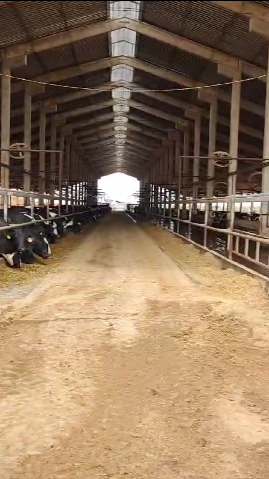 Fazenda para venda em Curvelo Mg