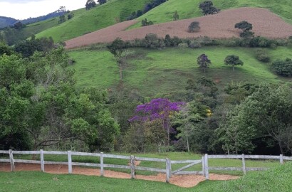 Sítio/ Haras para venda ou Locação em Baependi MG