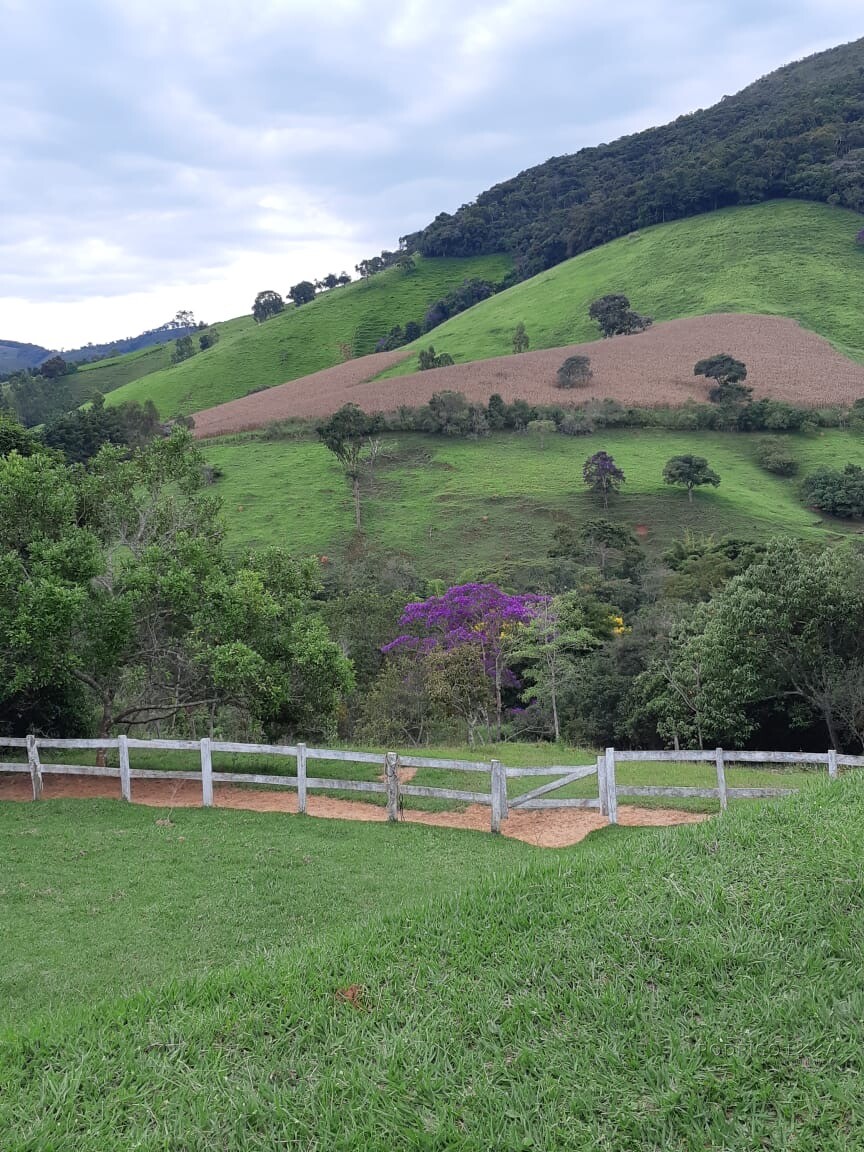 Sítio/ Haras para venda ou Locação em Baependi MG