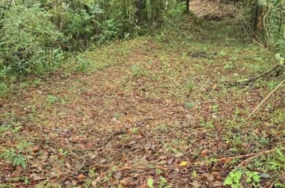 Linda Propriedade Para Venda Em São Tomé Das Letras - Mg.