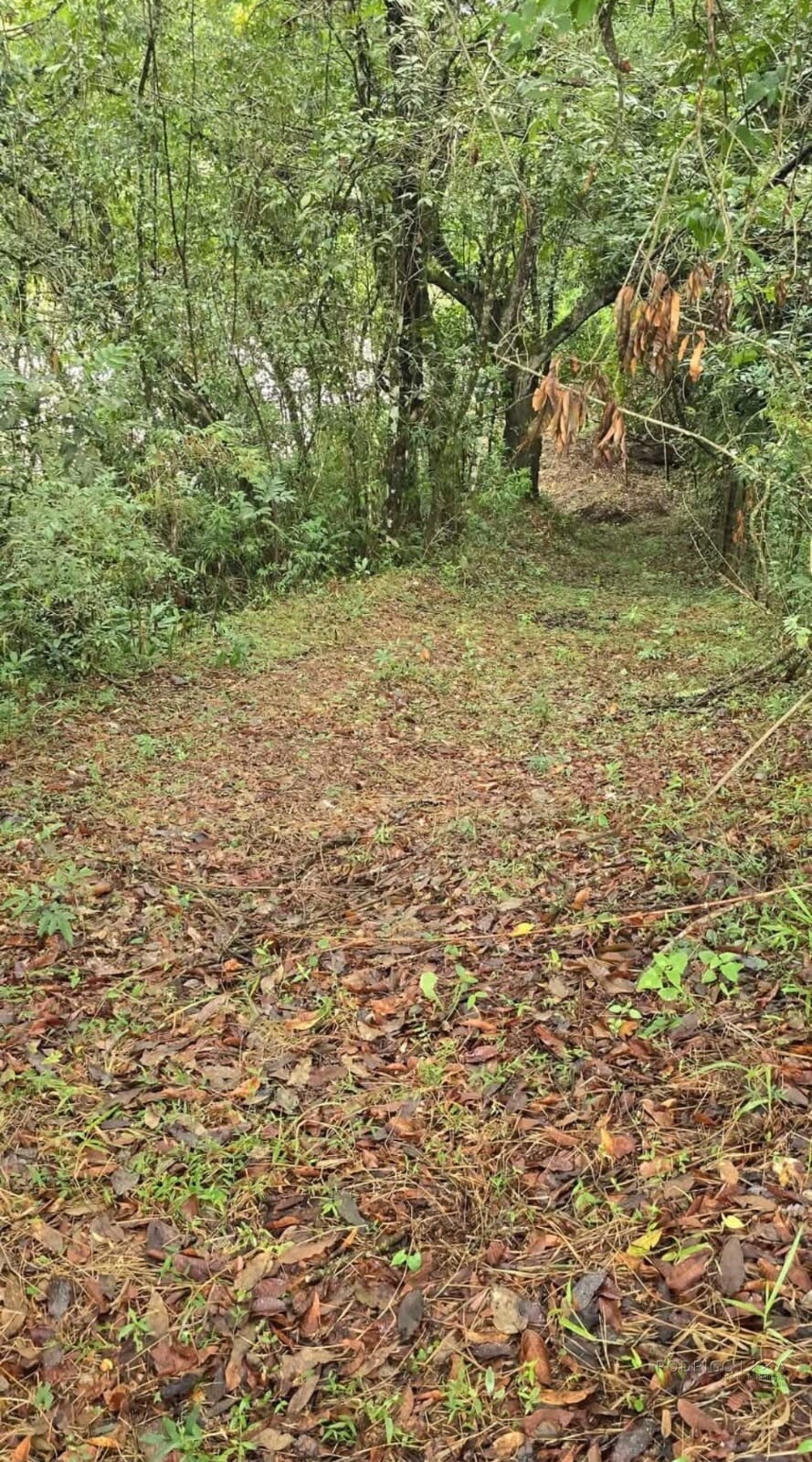 Linda Propriedade Para Venda Em São Tomé Das Letras - Mg.