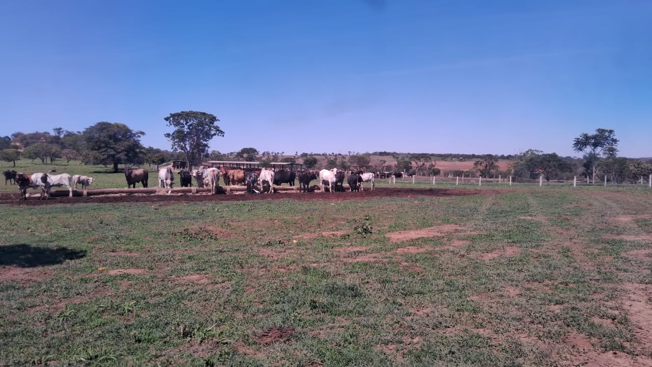 Fazenda para venda em Curvelo Mg
