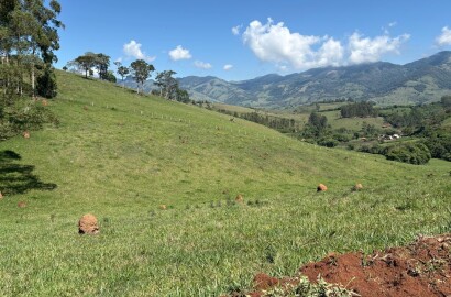 Terreno Rural para venda em Dom Viçoso MG