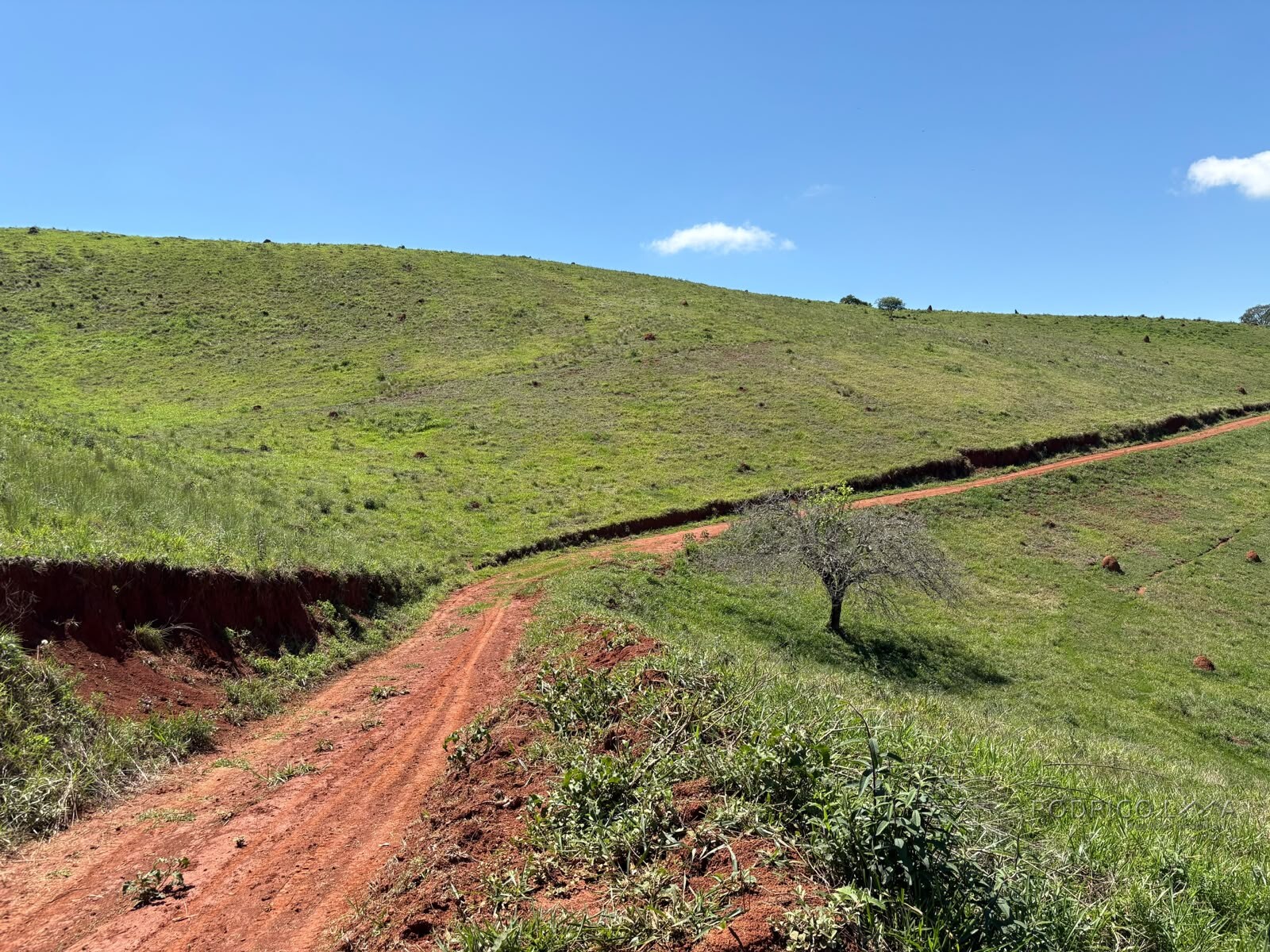 Terreno Rural para venda em Dom Viçoso MG