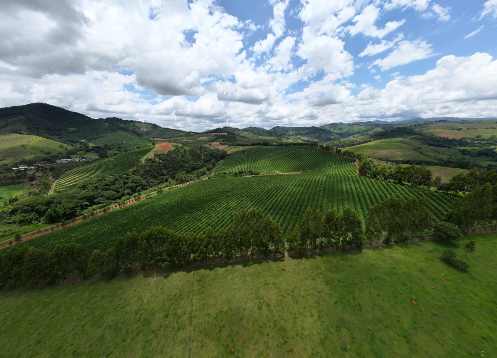 Fazenda para venda em São Lourenço Mg