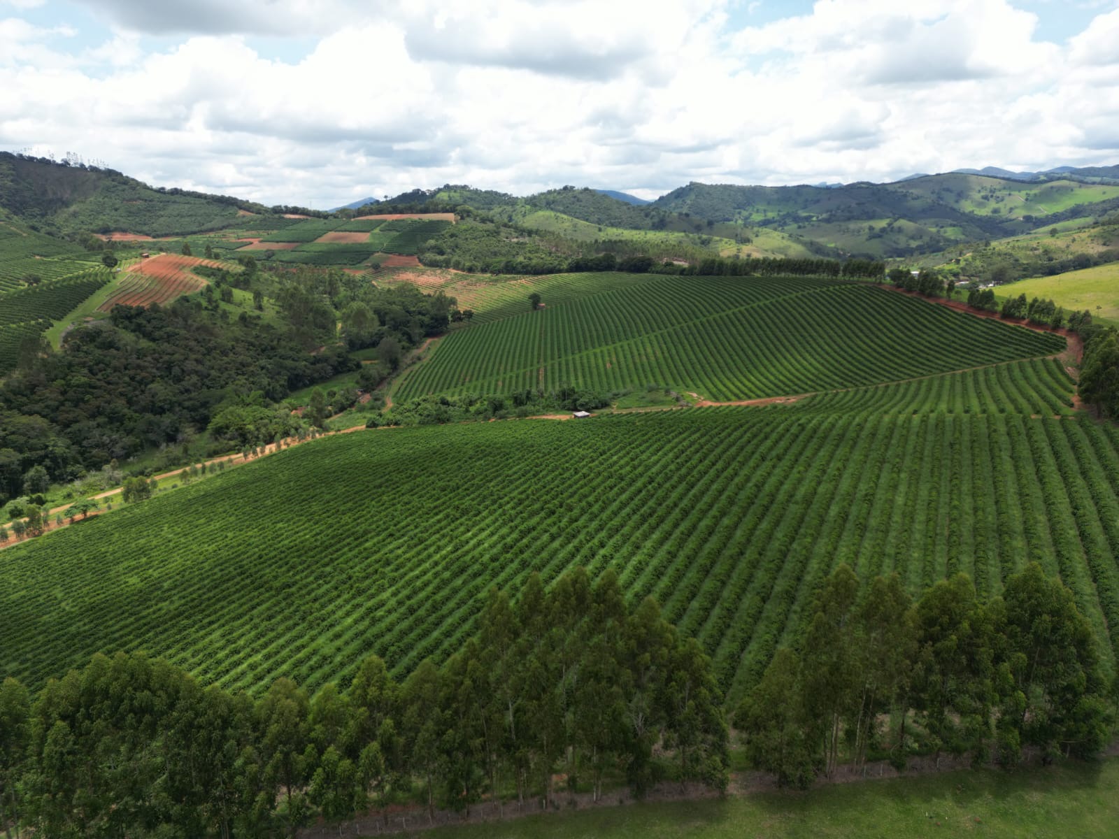 Fazenda para venda em São Lourenço Mg