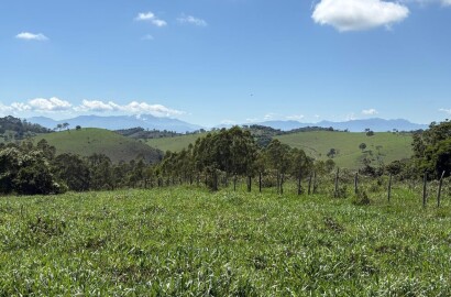 Terreno Rural para venda em Dom Viçoso MG