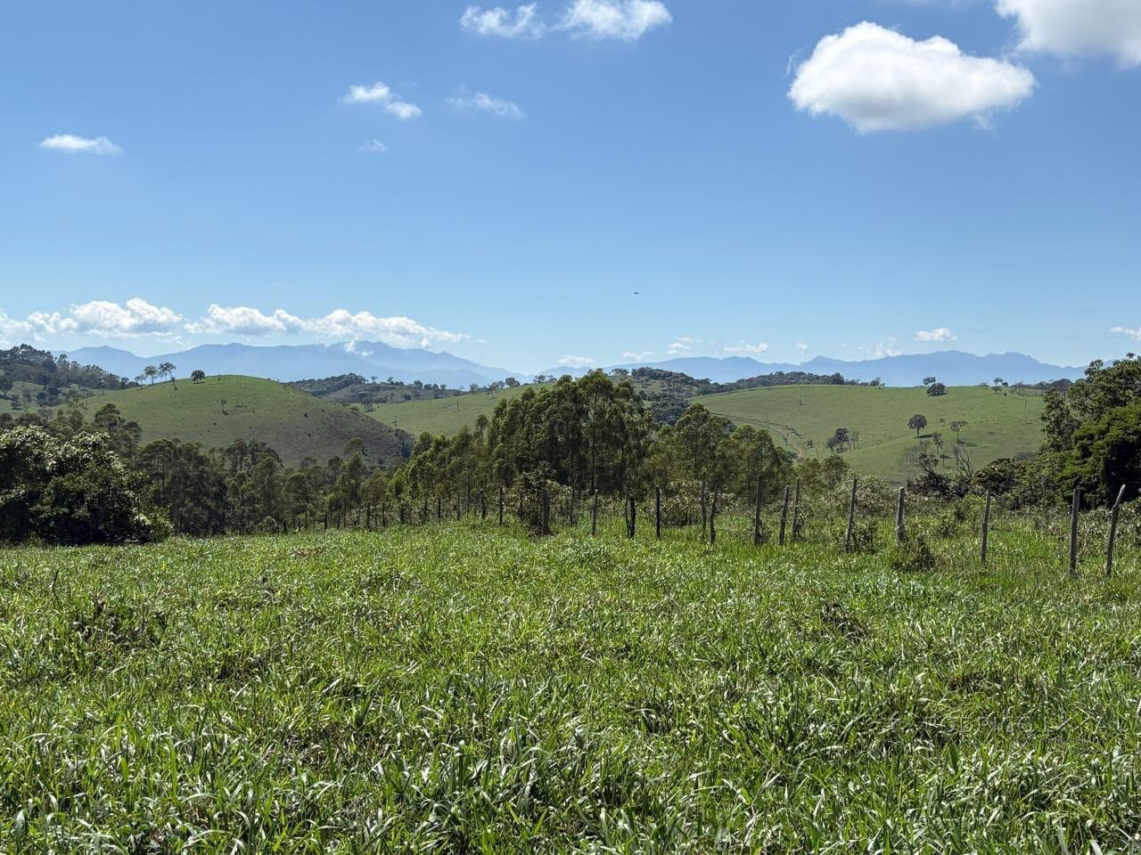 Terreno Rural para venda em Dom Viçoso MG