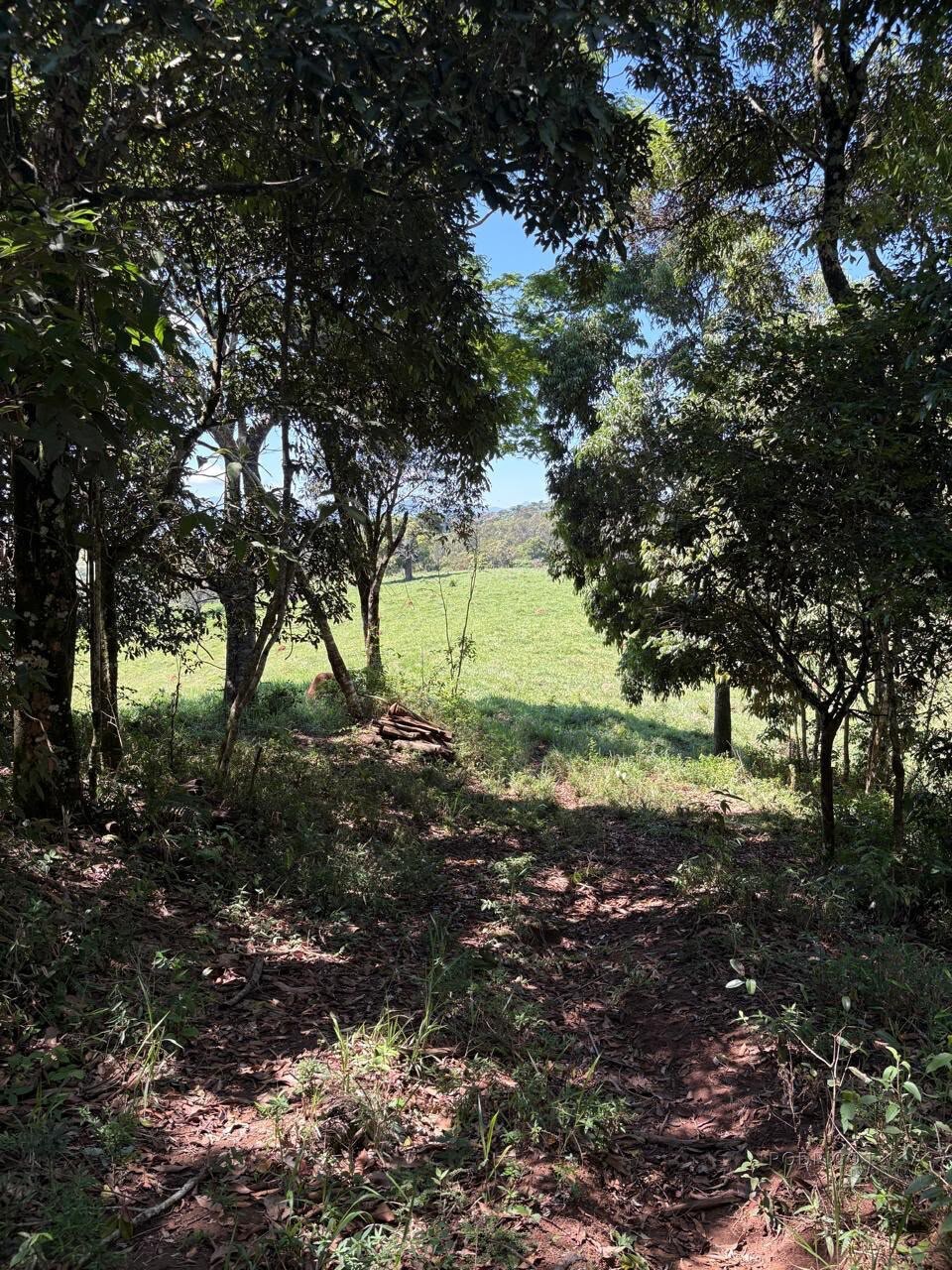 Terreno Rural para venda em Dom Viçoso MG