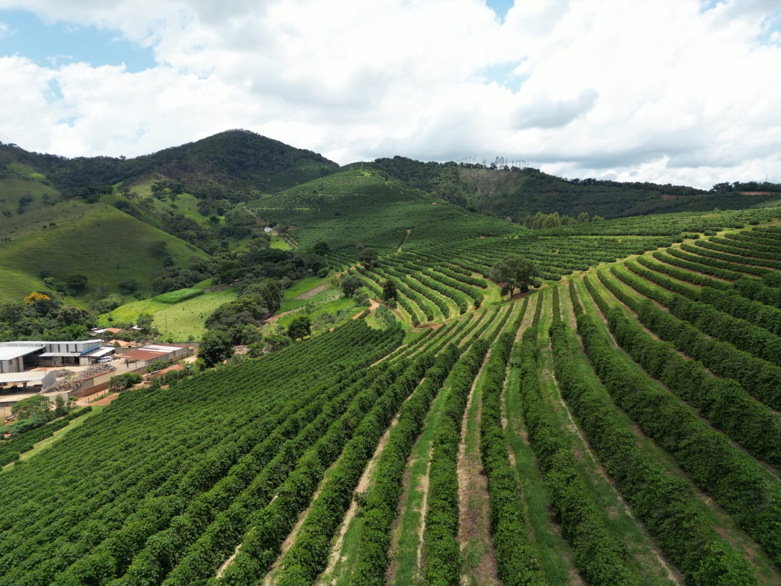 Fazenda para venda em São Lourenço Mg