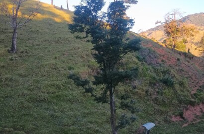Propriedade rural para venda em Virgínia/MG
