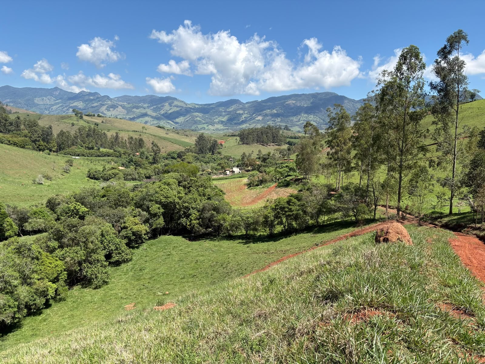 Terreno Rural para venda em Dom Viçoso MG