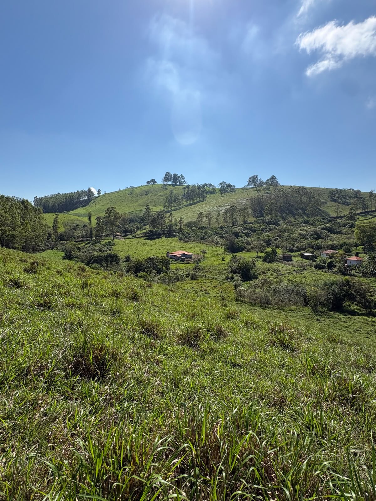 Terreno rural para venda em Dom Viçoso MG