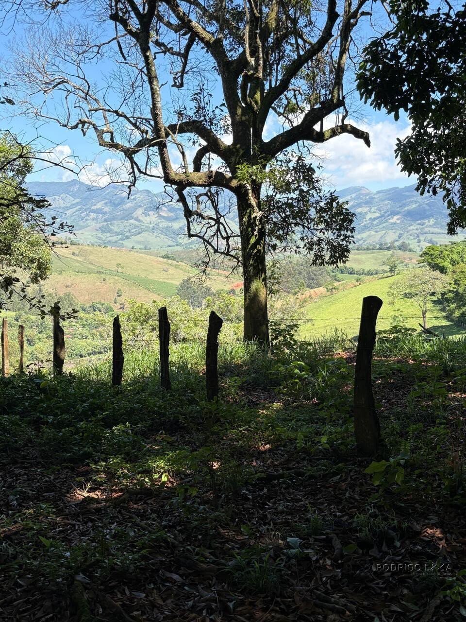 Terreno Rural para venda em Dom Viçoso MG