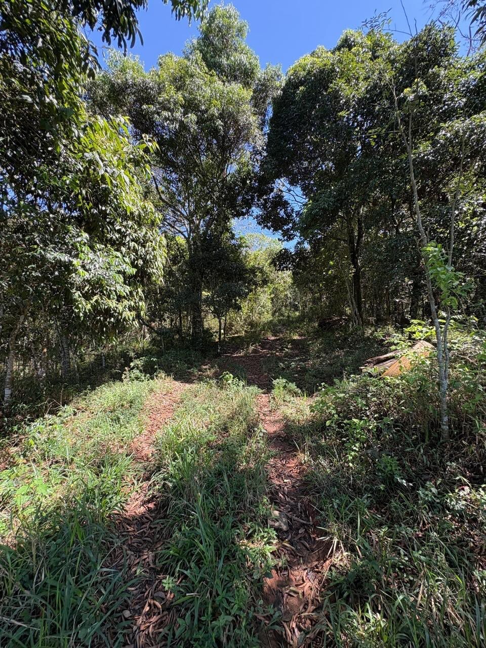 Terreno Rural para venda em Dom Viçoso MG