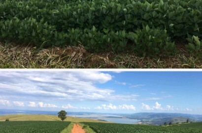Linda fazenda para venda em Guapé - MG.