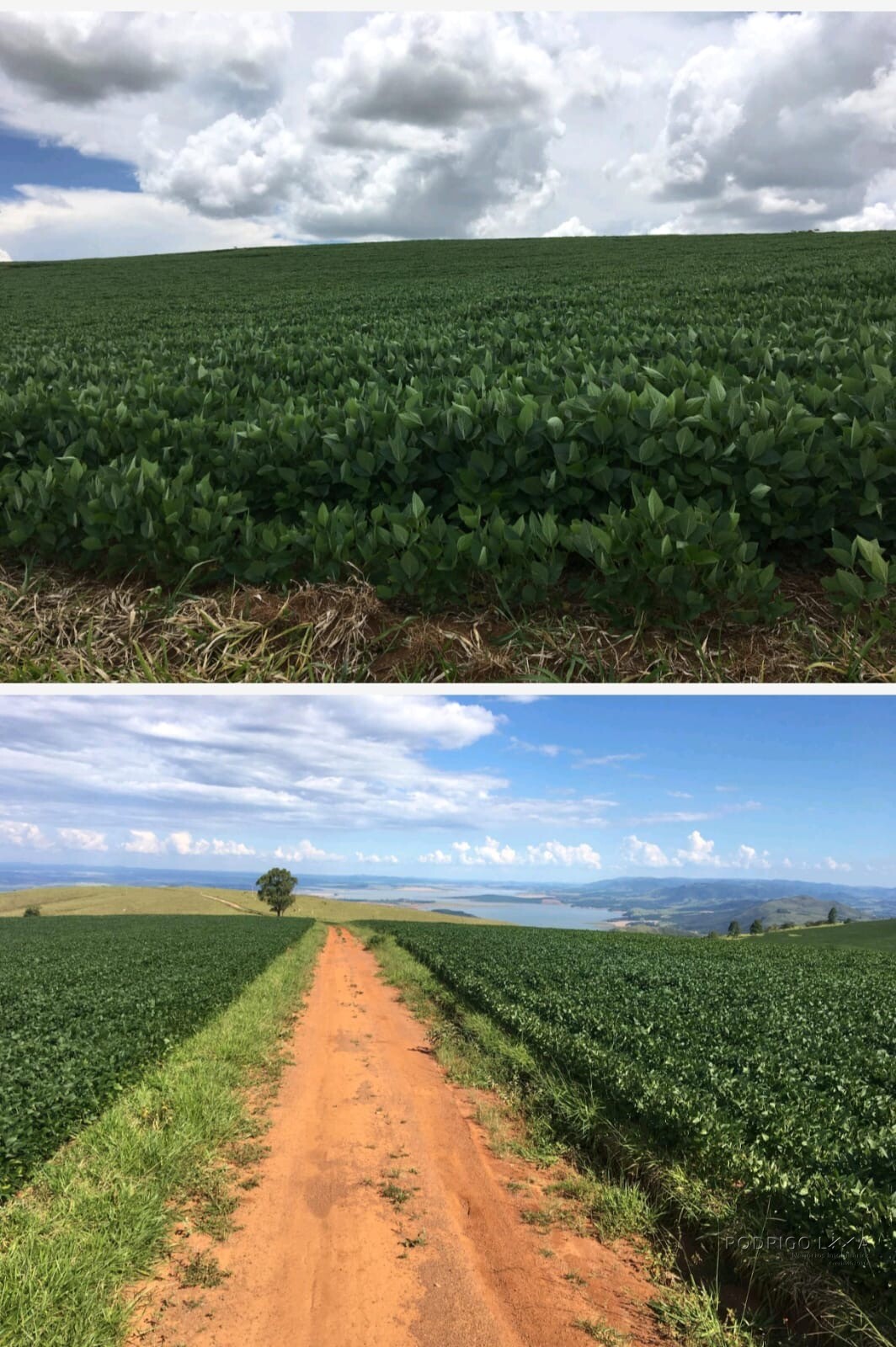 Linda fazenda para venda em Guapé - MG.