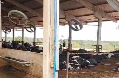 Fazenda para venda em Curvelo Mg