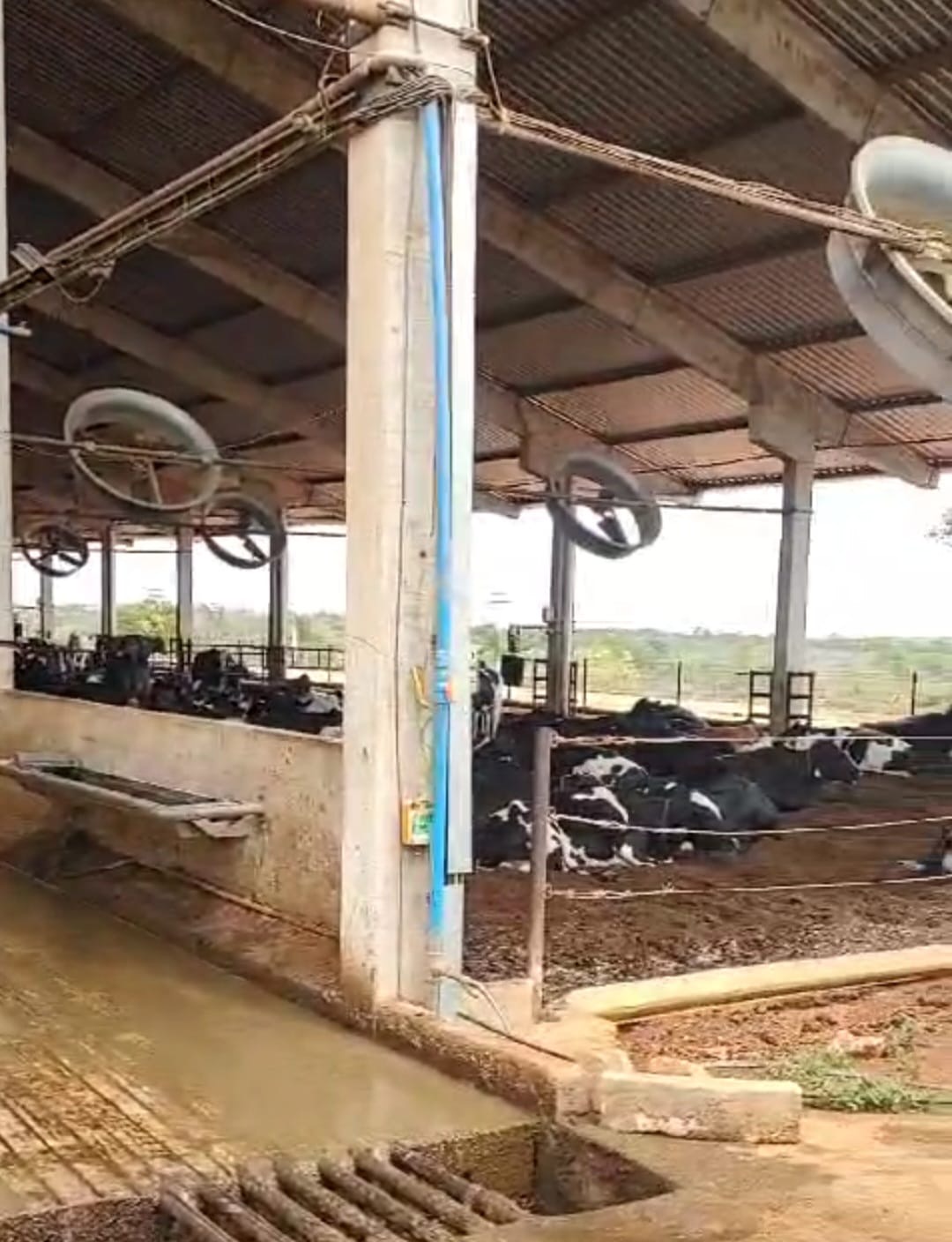 Fazenda para venda em Curvelo Mg