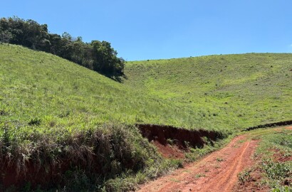 Terreno Rural para venda em Dom Viçoso MG