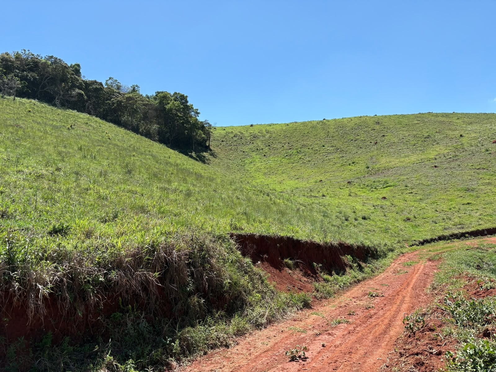 Terreno Rural para venda em Dom Viçoso MG