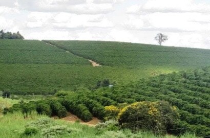 Linda fazenda para venda em Bom Sucesso MG.