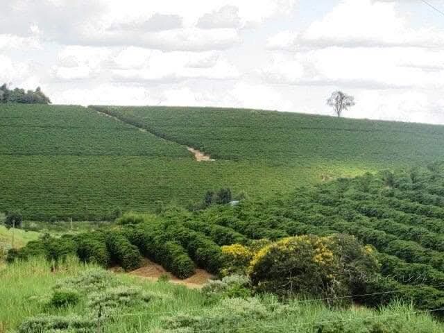 Linda fazenda para venda em Bom Sucesso MG.