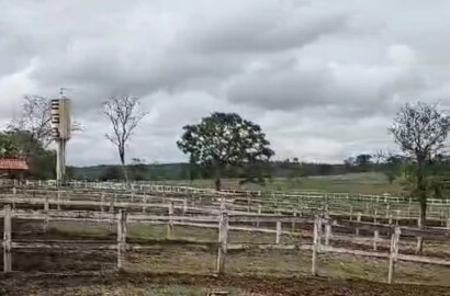 Fazenda para venda em Curvelo Mg