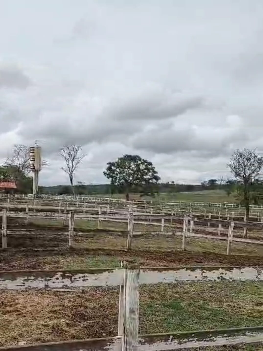 Fazenda para venda em Curvelo Mg
