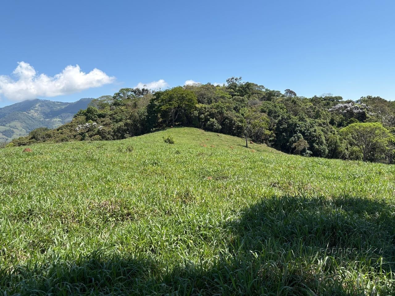 Terreno Rural para venda em Dom Viçoso MG