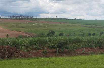 Fazenda para venda na região de Cajuru SP