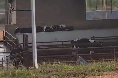 Fazenda para venda em Curvelo Mg