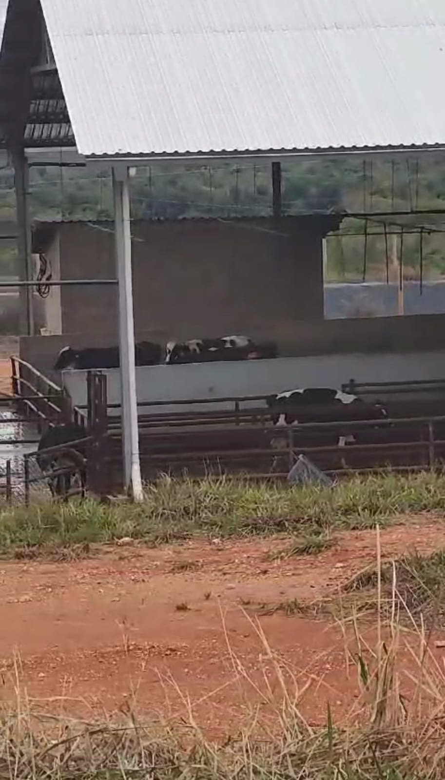 Fazenda para venda em Curvelo Mg