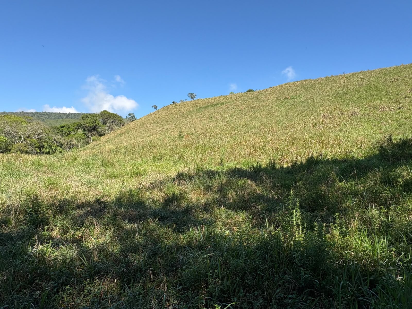 Terreno rural para venda em Dom Viçoso MG