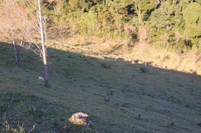 Propriedade rural para venda em Virgínia/MG