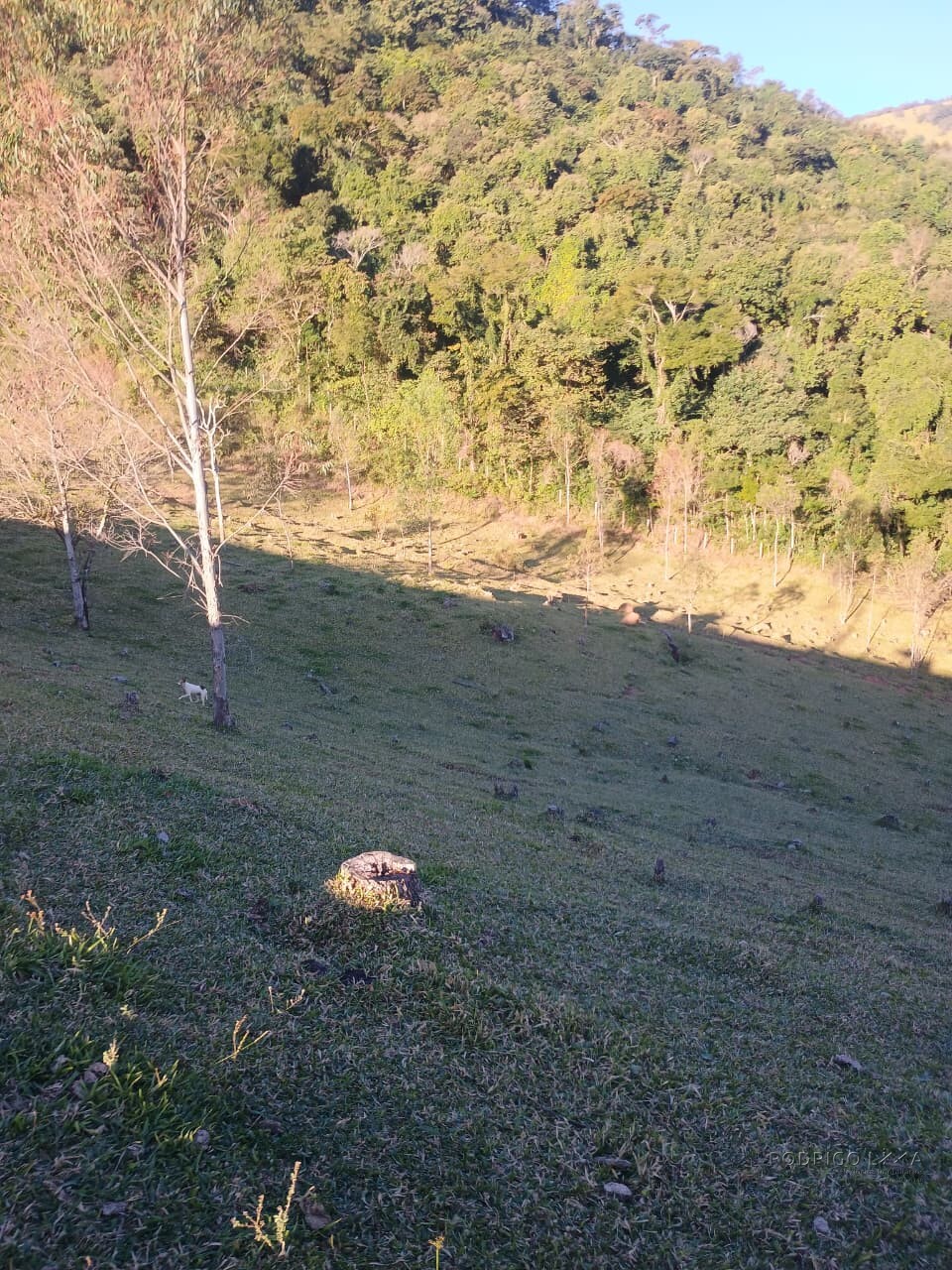 Propriedade rural para venda em Virgínia/MG