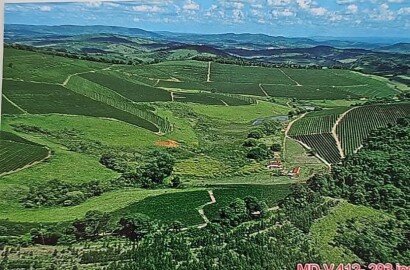 Linda fazenda para venda em Bom Sucesso MG.