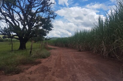 Fazenda para venda na região de Cajuru SP