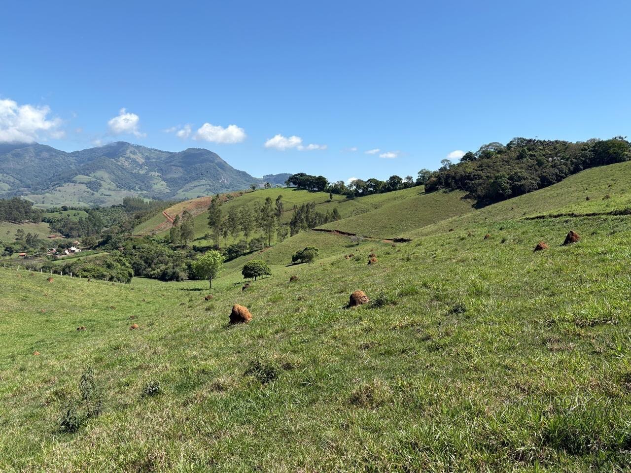 Terreno Rural para venda em Dom Viçoso MG
