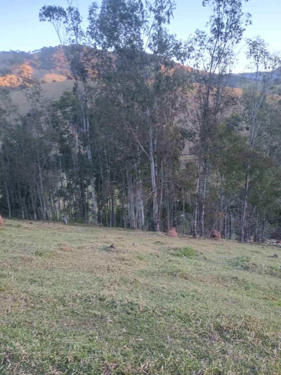 Propriedade rural para venda em Virgínia/MG