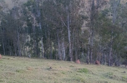Propriedade rural para venda em Virgínia/MG