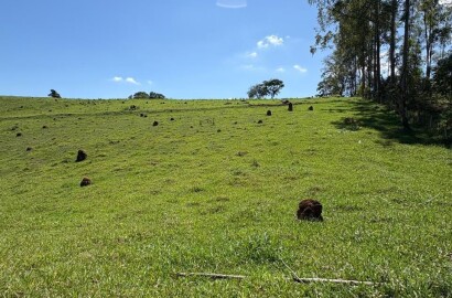 Terreno Rural para venda em Dom Viçoso MG