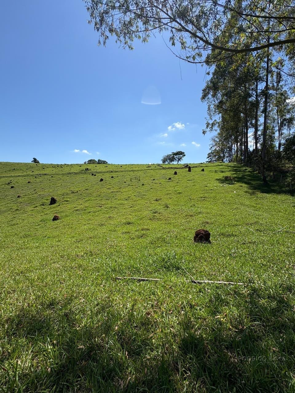 Terreno Rural para venda em Dom Viçoso MG